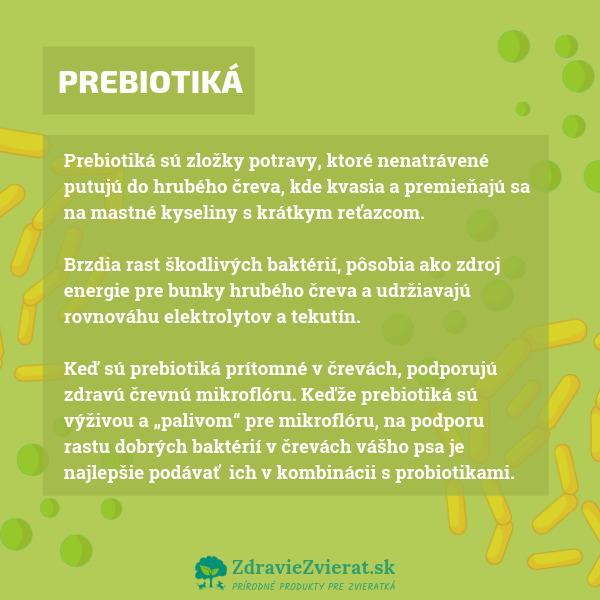 prebiotika