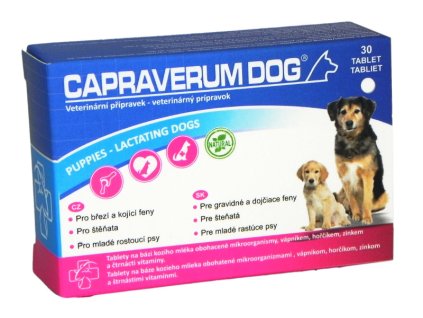 capraverum.dog.puppies lactating dogs