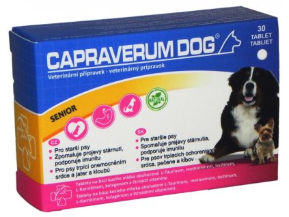 capraverum.dog.senior