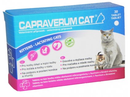capraverum.cat.kittens lactating cats
