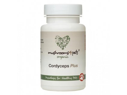 Mushrooms4pets Cordyceps plus
