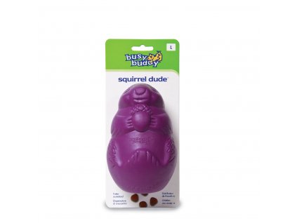 busy buddy squirrel dude 4