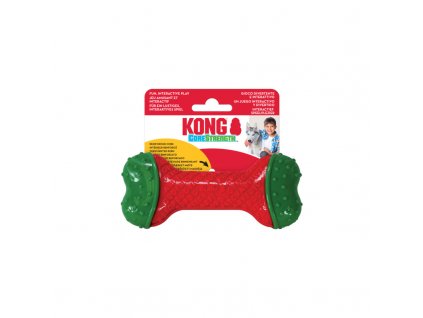 kong dog holiday corestrength kost s m