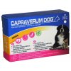 capraverum.dog.senior