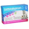 capraverum.cat.kittens lactating cats