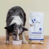 vetexpert vd dog 4t dermatosis salmon potato 12 kg2