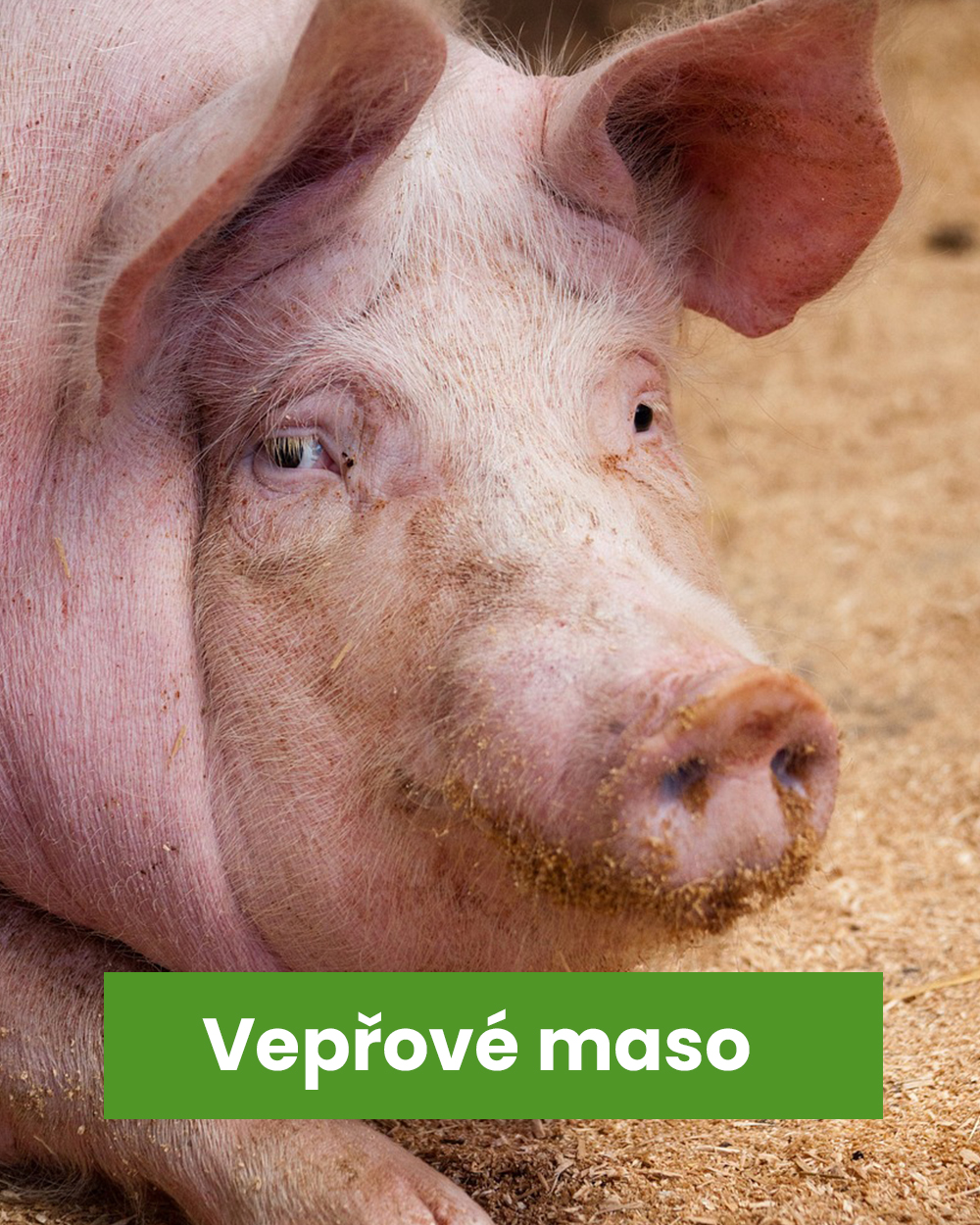 Vepřové maso