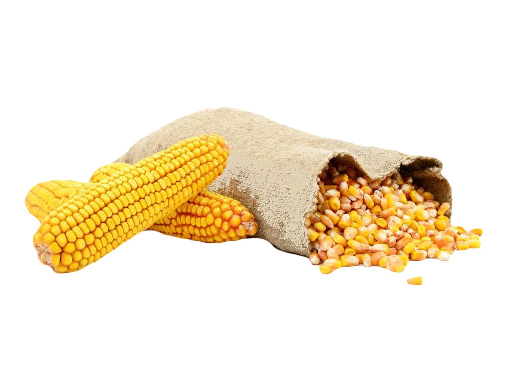 kisspng waxy corn bag corn kernel sweet corn animal feed corn grain grain 5a9da89418fb65.7255940815202817481023