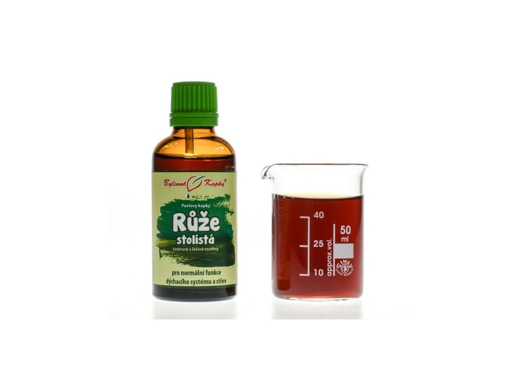 RŮŽE STOLISTÁ - BYLINNÉ KAPKY (TINKTURA) 50 ML