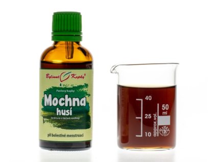 MOCHNA HUSÍ - BYLINNÉ KAPKY (TINKTURA) 50 ML