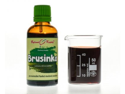 BRUSINKA LIST - BYLINNÉ KAPKY (TINKTURA) 50 ML