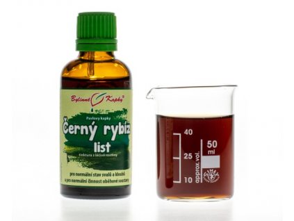 ČERNÝ RYBÍZ LIST - BYLINNÉ KAPKY (TINKTURA) 50 ML