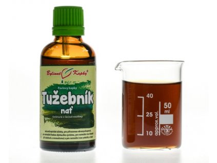 TUŽEBNÍK NAŤ - BYLINNÉ KAPKY (TINKTURA) 50 ML