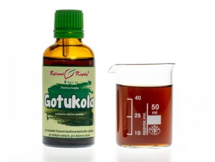 GOTUKOLA (GOTU KOLA) - BYLINNÉ KAPKY (TINKTURA) 50 ML