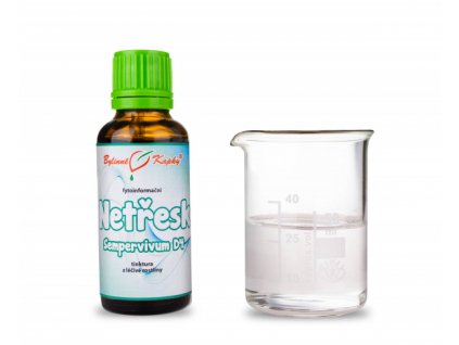 NETŘESK D4 (SEMPERVIVUM) - BYLINNÉ KAPKY (TINKTURA) 30 ML