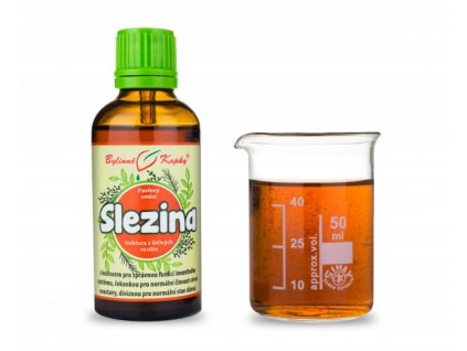 SLEZINA - BYLINNÉ KAPKY (TINKTURA) 50 ML