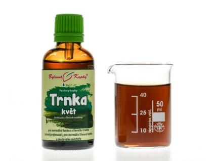 TRNKA KVĚT - BYLINNÉ KAPKY (TINKTURA) 50 ML