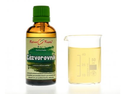 ZÁZVOROVNÍK (ZÁZVOR) - BYLINNÉ KAPKY (TINKTURA) 50 ML