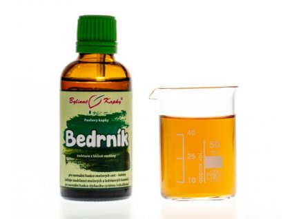 BEDRNÍK KOŘEN - BYLINNÉ KAPKY (TINKTURA) 50 ML