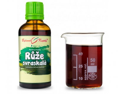 RŮŽE SVRASKALÁ (TCM) - BYLINNÉ KAPKY (TINKTURA) 50 ML