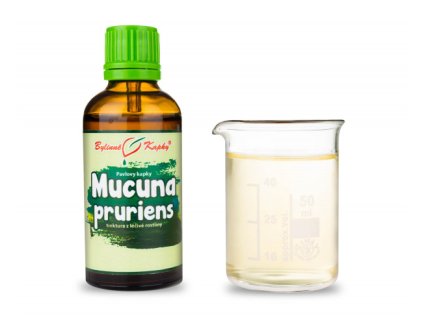 MUCUNA PRURIENS - BYLINNÉ KAPKY (TINKTURA) 50 ML
