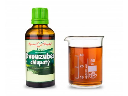 DVOUZUBEC CHLUPATÝ (PILOVÝ) - BYLINNÉ KAPKY (TINKTURA) 50 ML