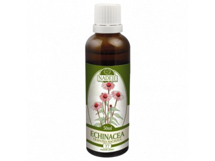 ECHINACEA - TINKTURA Z BYLINY 50 ML