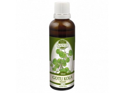 GOTU-KOLA /BRAHMÍ/ - TINKTURA Z BYLINY 50 ML