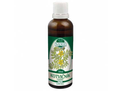 KOTVIČNÍK POZEMNÍ - TINKTURA Z PUPENŮ 50 ML