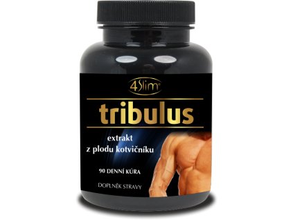 31.tribulus