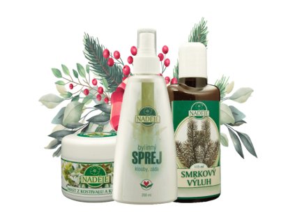 VÁNOČNÍ SADA NA KLOUBY A POHYBOVÝ APARÁT