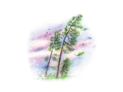 VZEDMUTÍ VĚTRU 50 ML