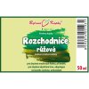 RHODIOLA (ROZCHODNICE) - BYLINNÉ KAPKY (TINKTURA) 50 ML