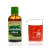 RHODIOLA (ROZCHODNICE) - BYLINNÉ KAPKY (TINKTURA) 50 ML
