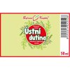 ÚSTNÍ DUTINA - BYLINNÉ KAPKY (TINKTURA) 50 ML