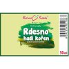 RDESNO HADÍ KOŘEN - BYLINNÉ KAPKY (TINKTURA) 50 ML