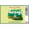 HARPAGOFIT - BYLINNÉ KAPKY (TINKTURA) 50 ML