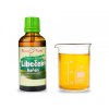 LIBEČEK KOŘEN - BYLINNÉ KAPKY (TINKTURA) 50 ML