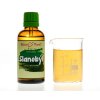 SLANOBÝL - BYLINNÉ KAPKY (TINKTURA) 50 ML