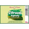 JITROCEL KOPINATÝ - BYLINNÉ KAPKY (TINKTURA) 50 ML