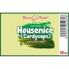 HOUSENICE - CORDYCEPS - BYLINNÉ KAPKY (TINKTURA) 50 ML