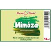 MIMÓZA (CITLIVKA) - BYLINNÉ KAPKY (TINKTURA) 50 ML