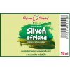 SLIVOŇ AFRICKÁ - BYLINNÉ KAPKY (TINKTURA) 50 ML