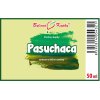 PASUCHACA - BYLINNÉ KAPKY (TINKTURA) 50 ML