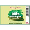 RŮŽE ŠÍPKOVÁ OPLODÍ - BYLINNÉ KAPKY (TINKTURA) 50 ML