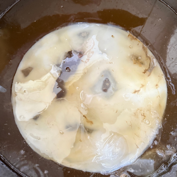Co je Kombucha?