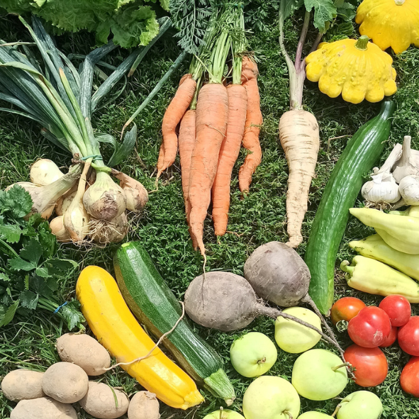 Biodynamické zemědělství