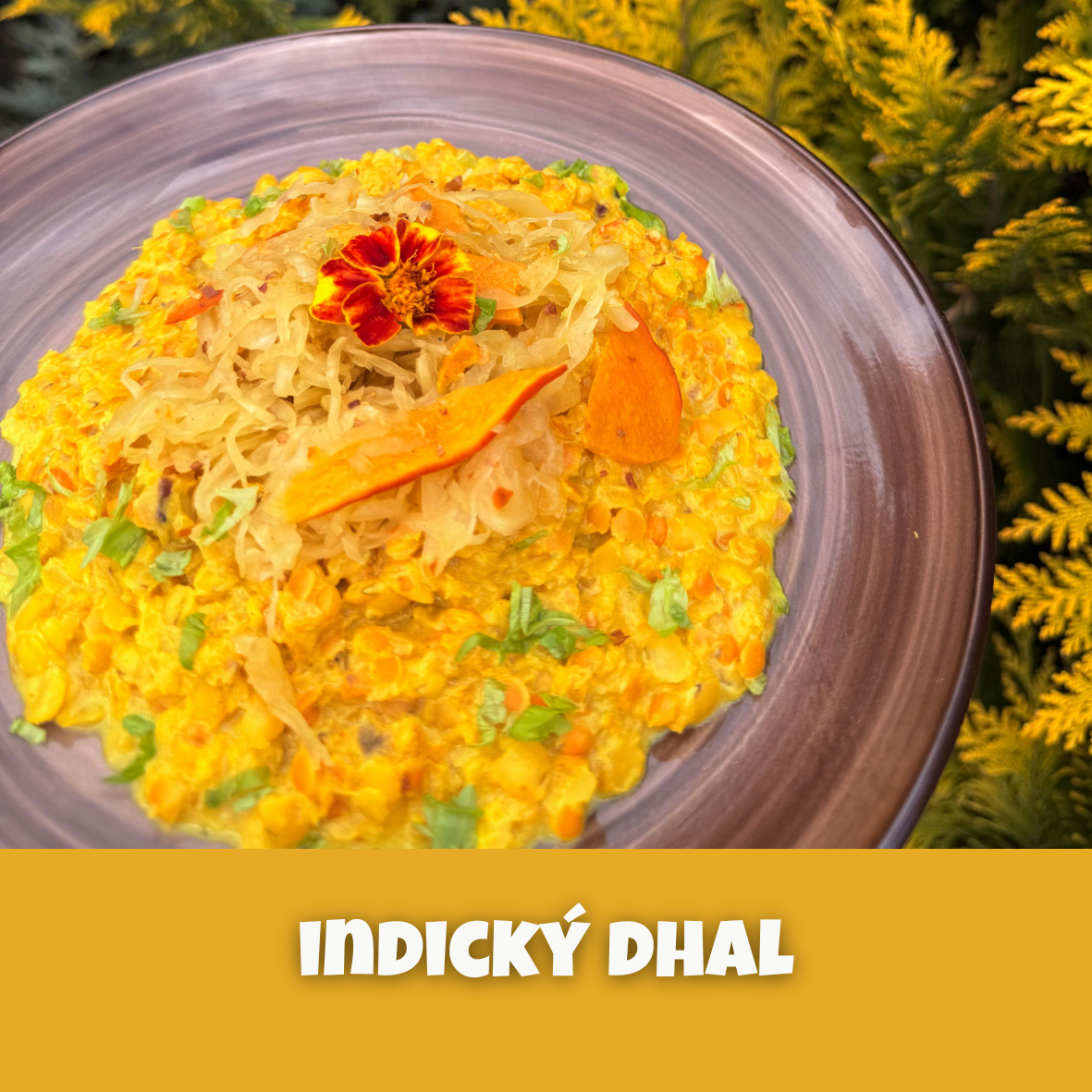 Indický dhal a dýňové zeliiičko