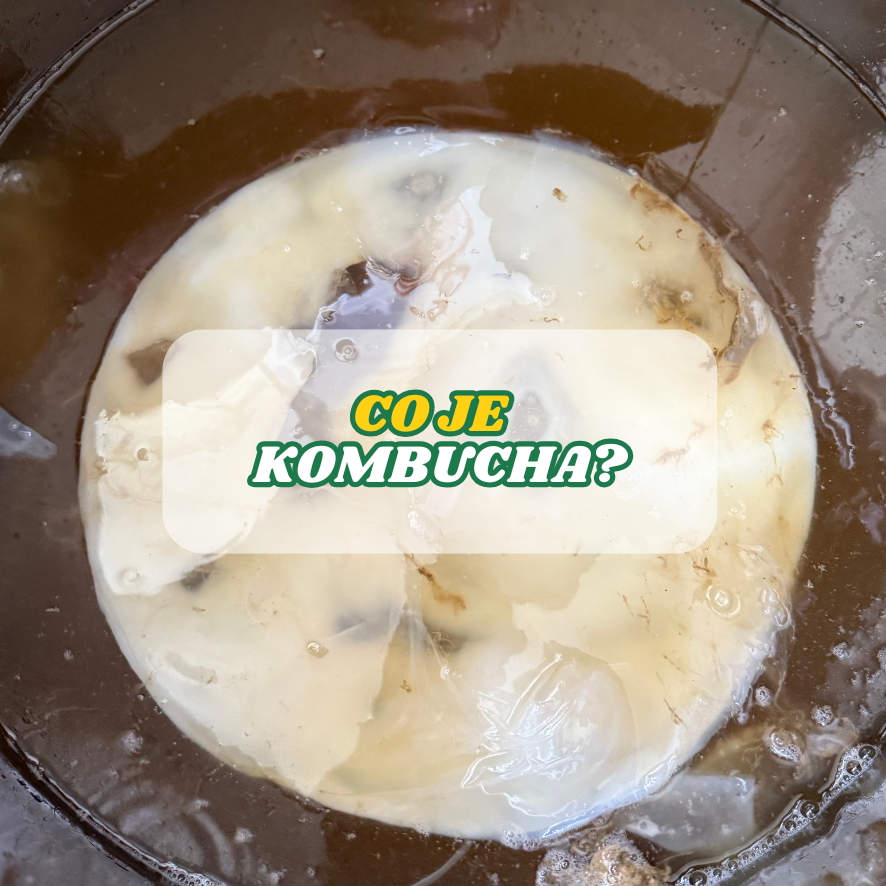 Co je Kombucha?