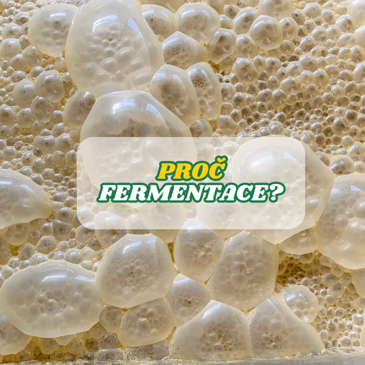 Proč fermentace?